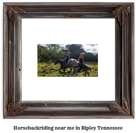 horseback riding near me in Ripley, Tennessee